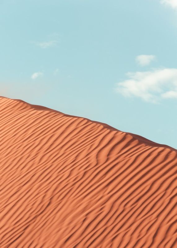 DÜNE - Premium Poster - signiert -50x70cm