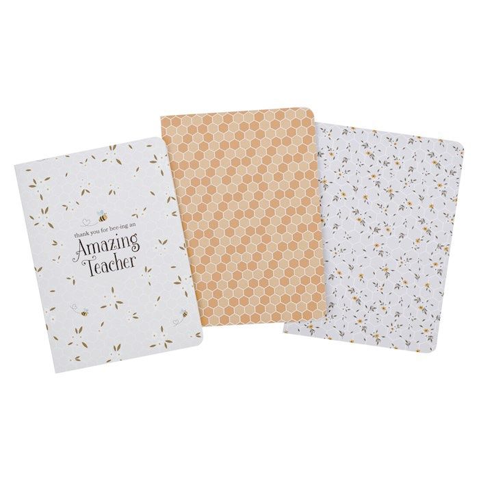 Notebook Set-Large-Amazing Teacher (Set of 3) (Pkg-3)