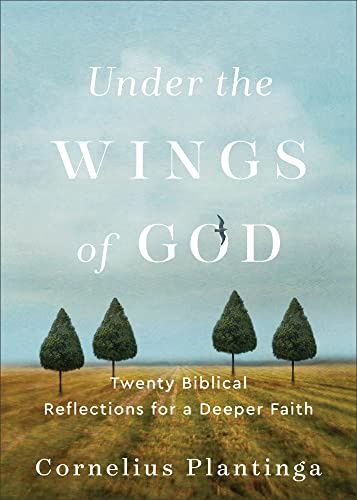 Under the Wings of God: Twenty Biblical  Reflections for a Deeper Faith
