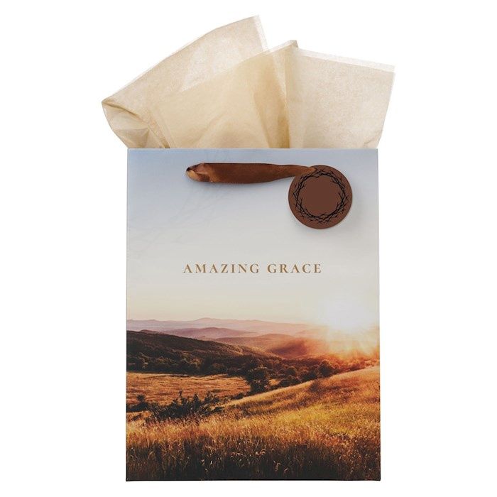 Gift Bag-Large-Amazing Grace