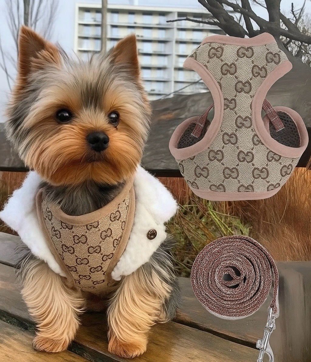 Premium Luxury GG Monogram Print Yorkie Dog Cat Harness Set Comfortable Secure Safety GD Furbaby 