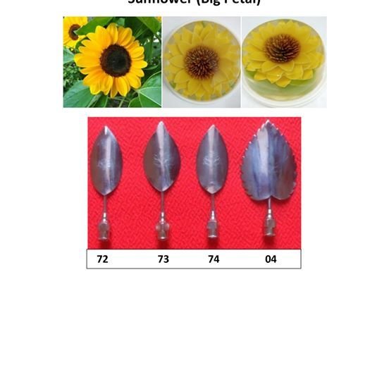 Sun Flower