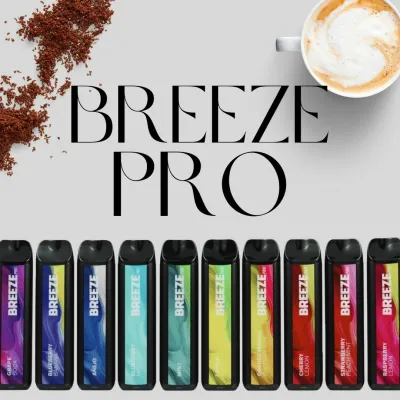 BREEZE PRO 2K