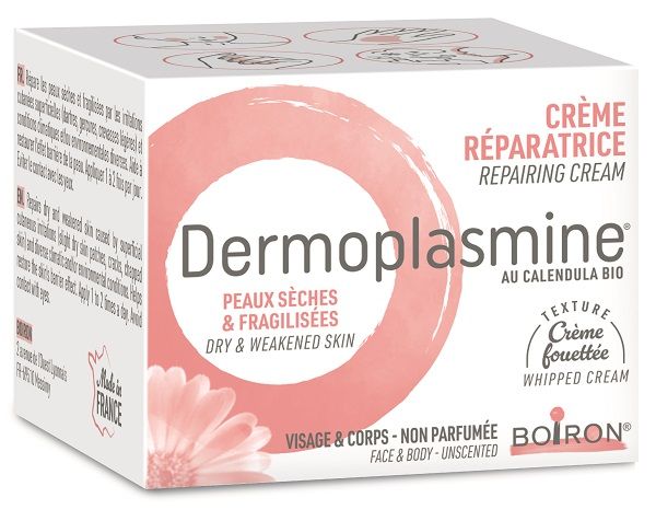 DERMOPLASMINE MOUSSE 20G