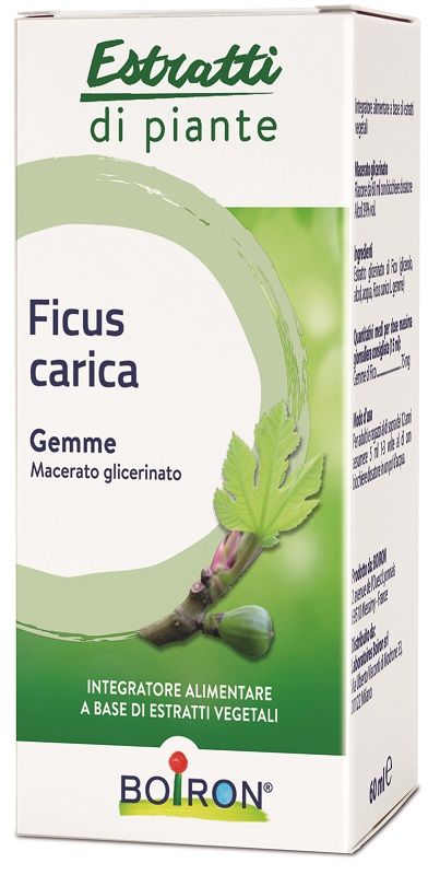 FICUS CARICA BOIRON MG 60ML FICUS CARICA BOIRON MG 60ML