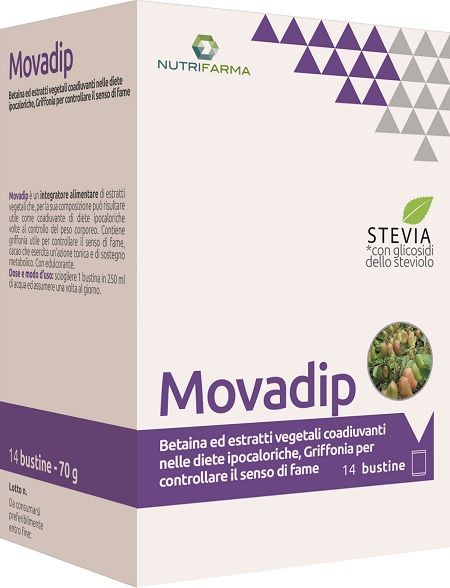 MOVADIP 14BUST MOVADIP 14BUST