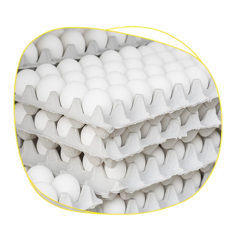 Cubetas de huevo