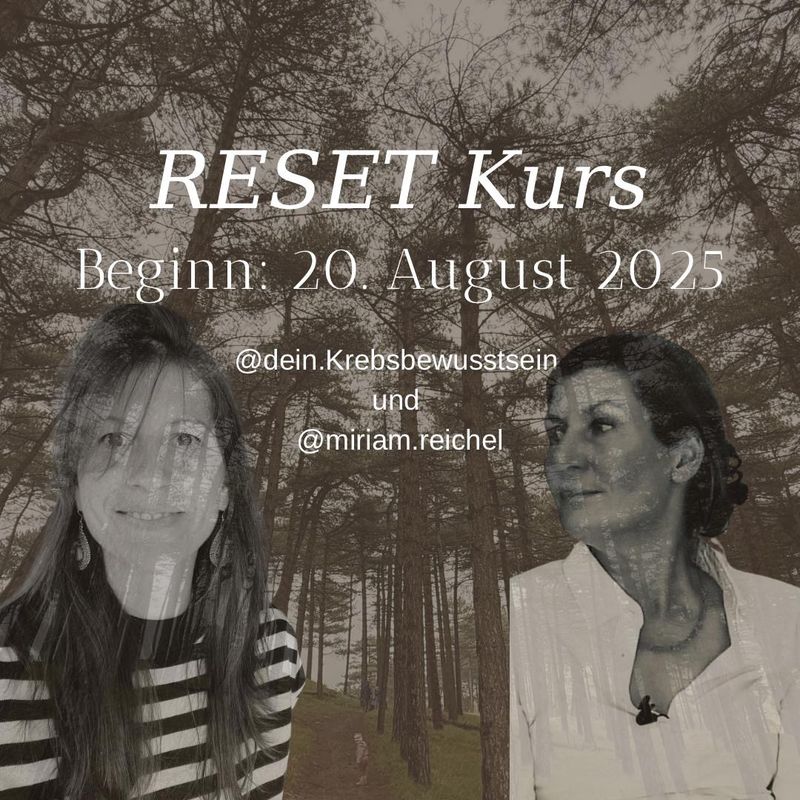 RESET Kurs - AUFNAHME