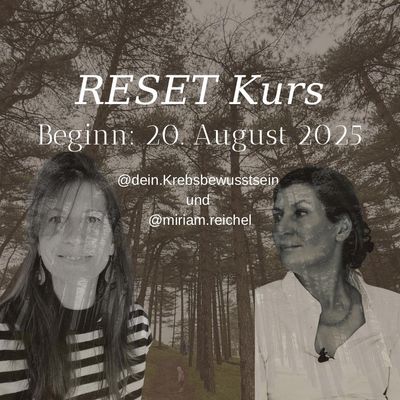 RESET Kurs - AUFNAHME