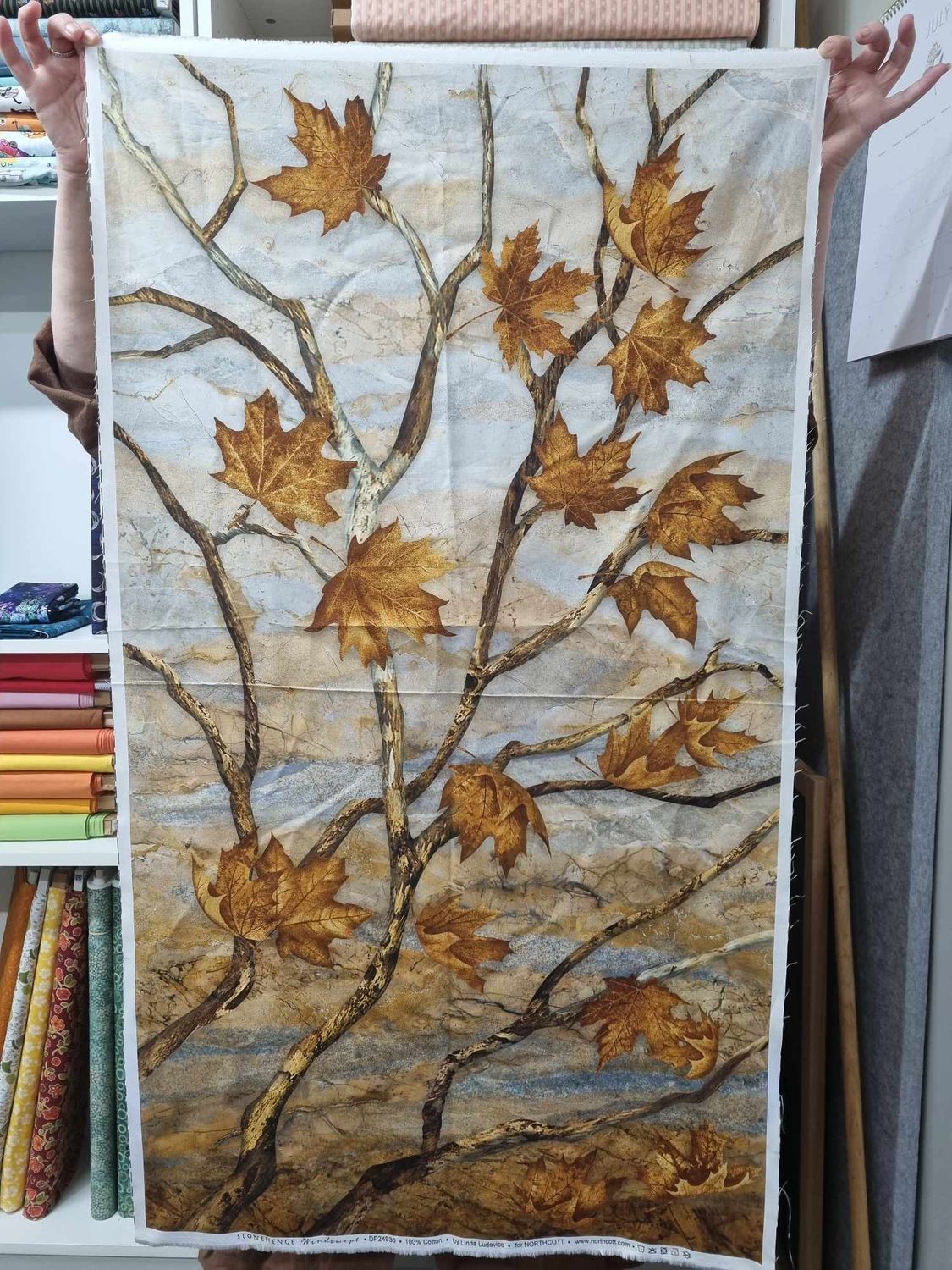 Windswept/Stonehedge