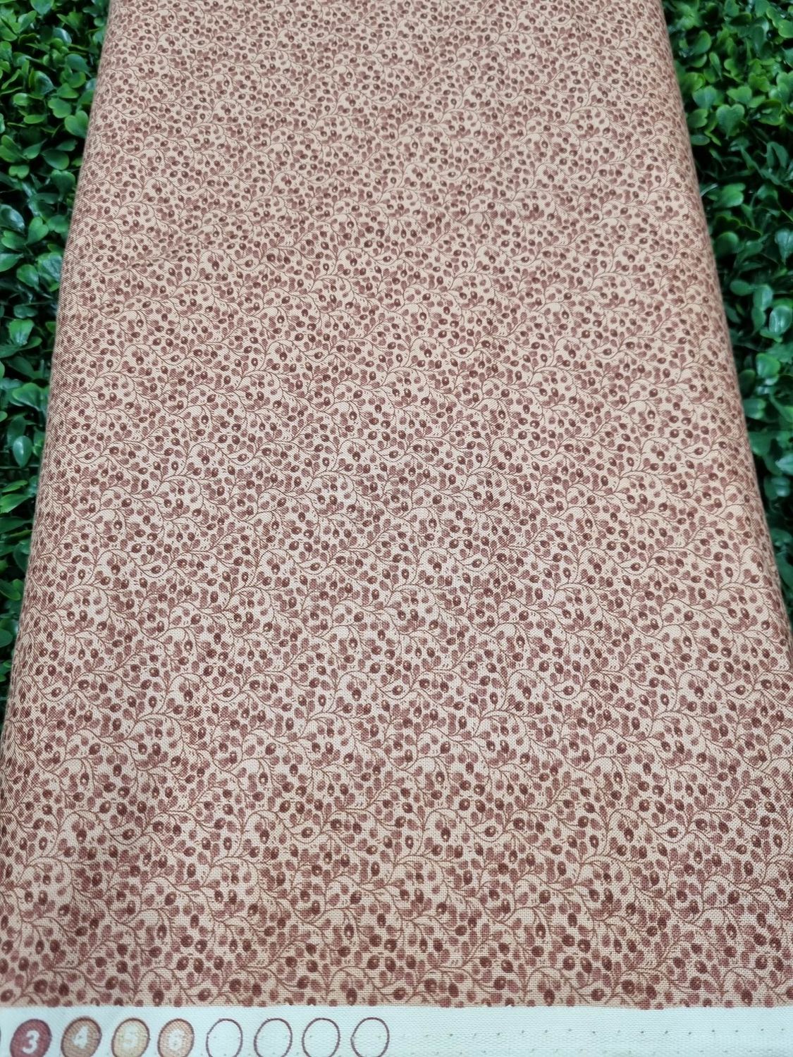 Penny Rose Fabrics - Penelope