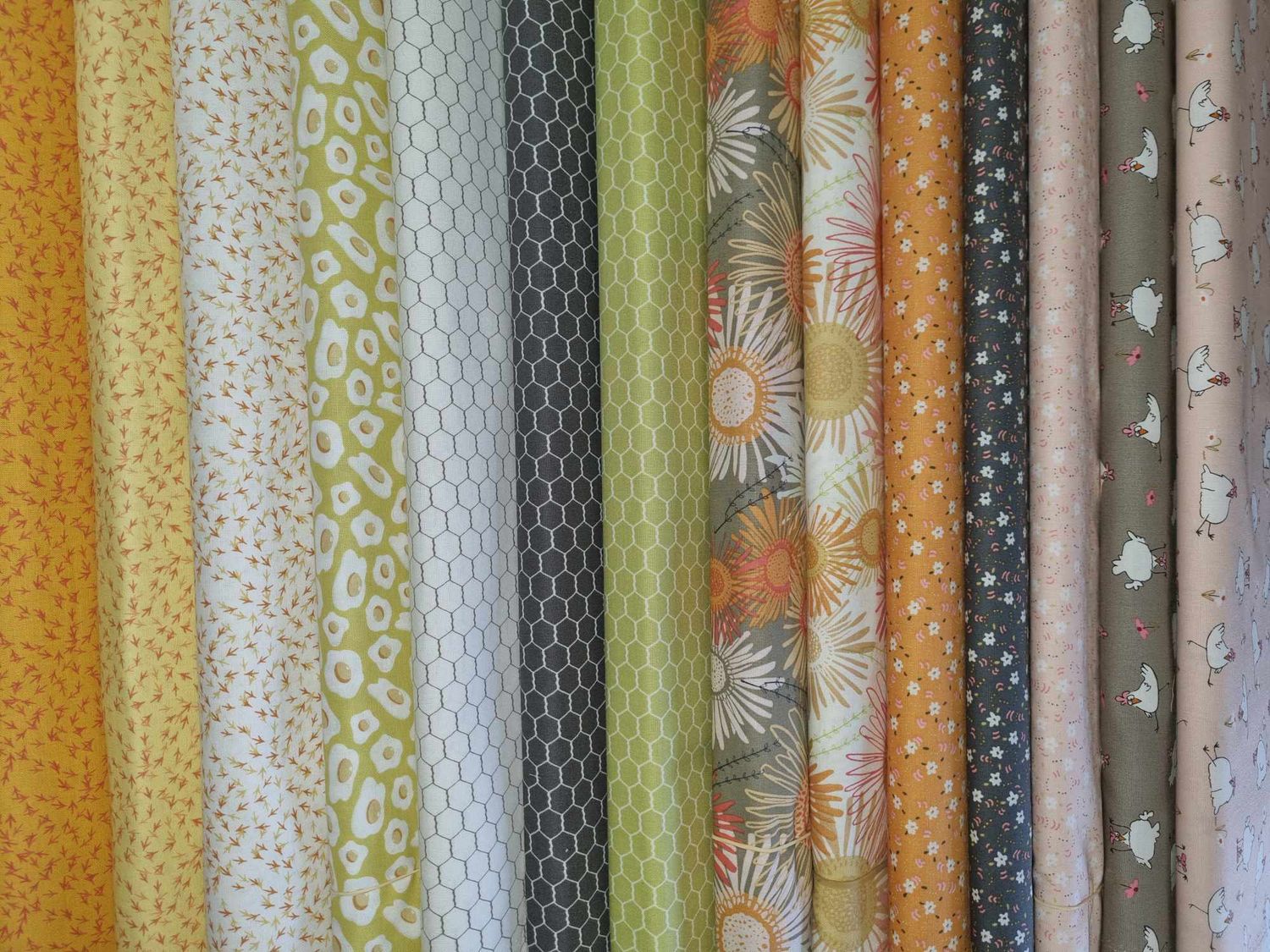 Cluck Cluck Bloom 1/2M