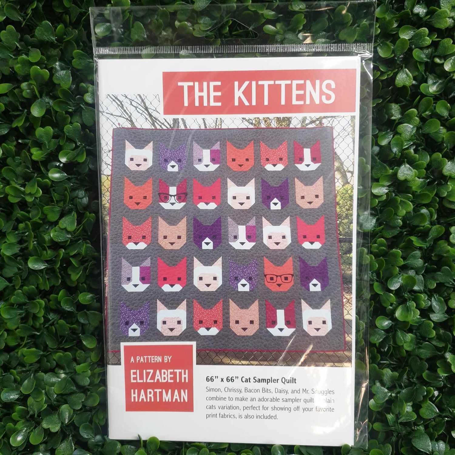 The Kittens
