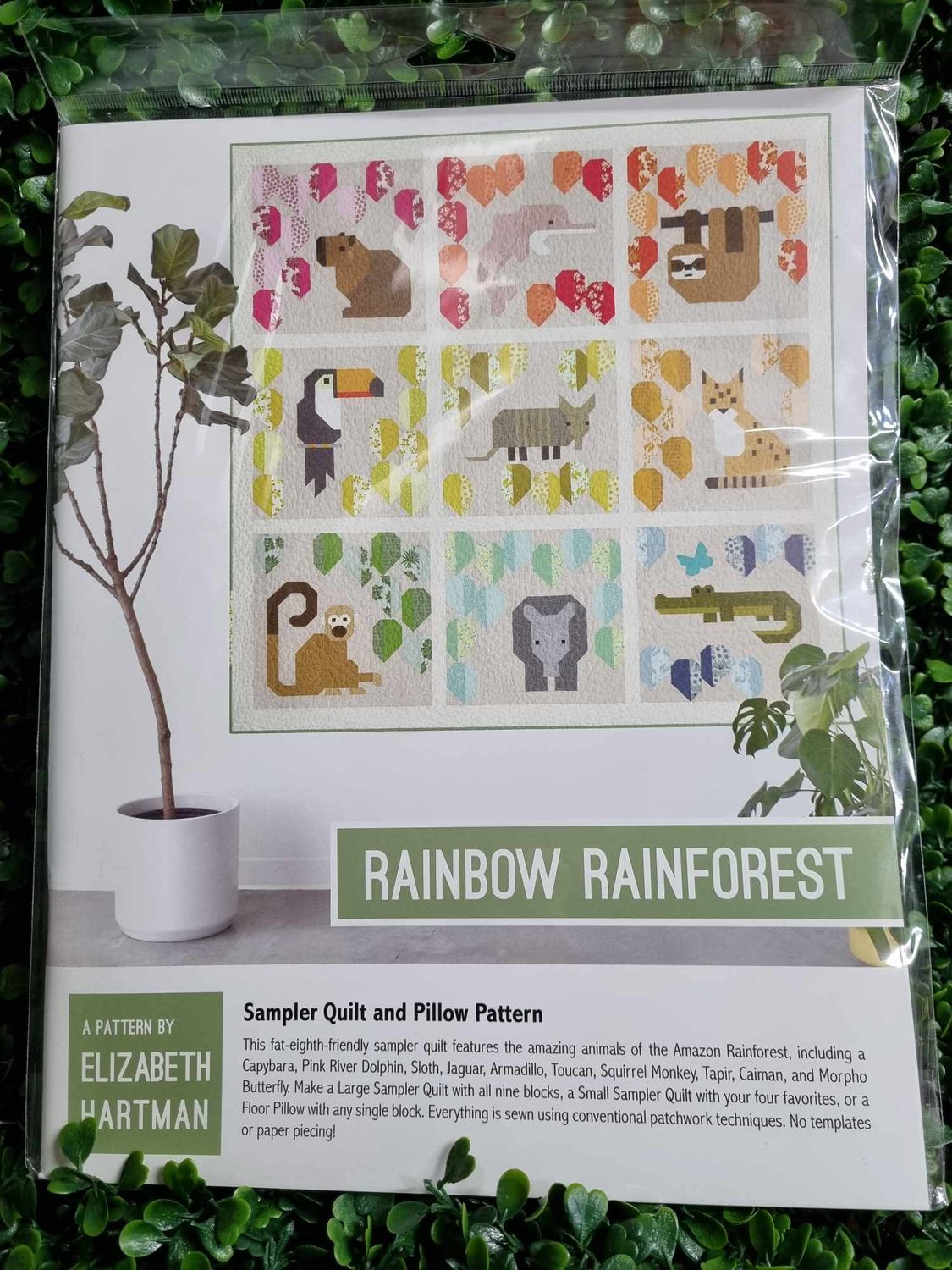 Rainbow Rainforest