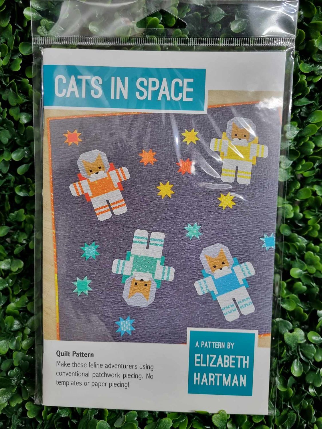 Cats in Space