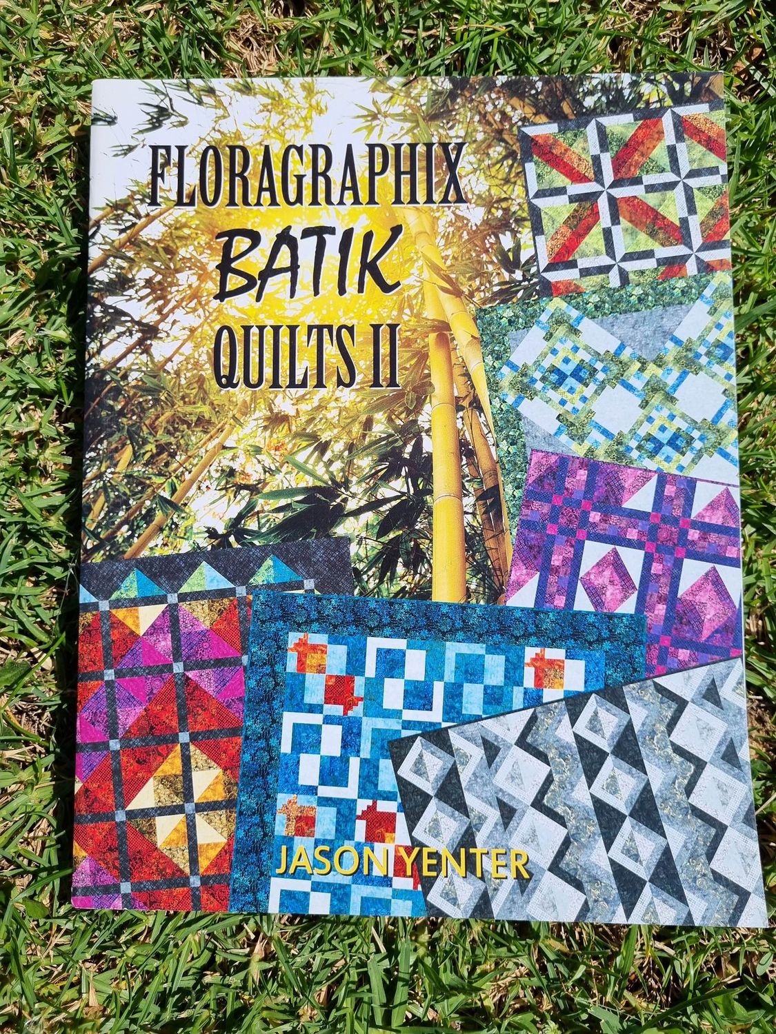 Jason Yenter - Floragraphix Batik Quilts 2