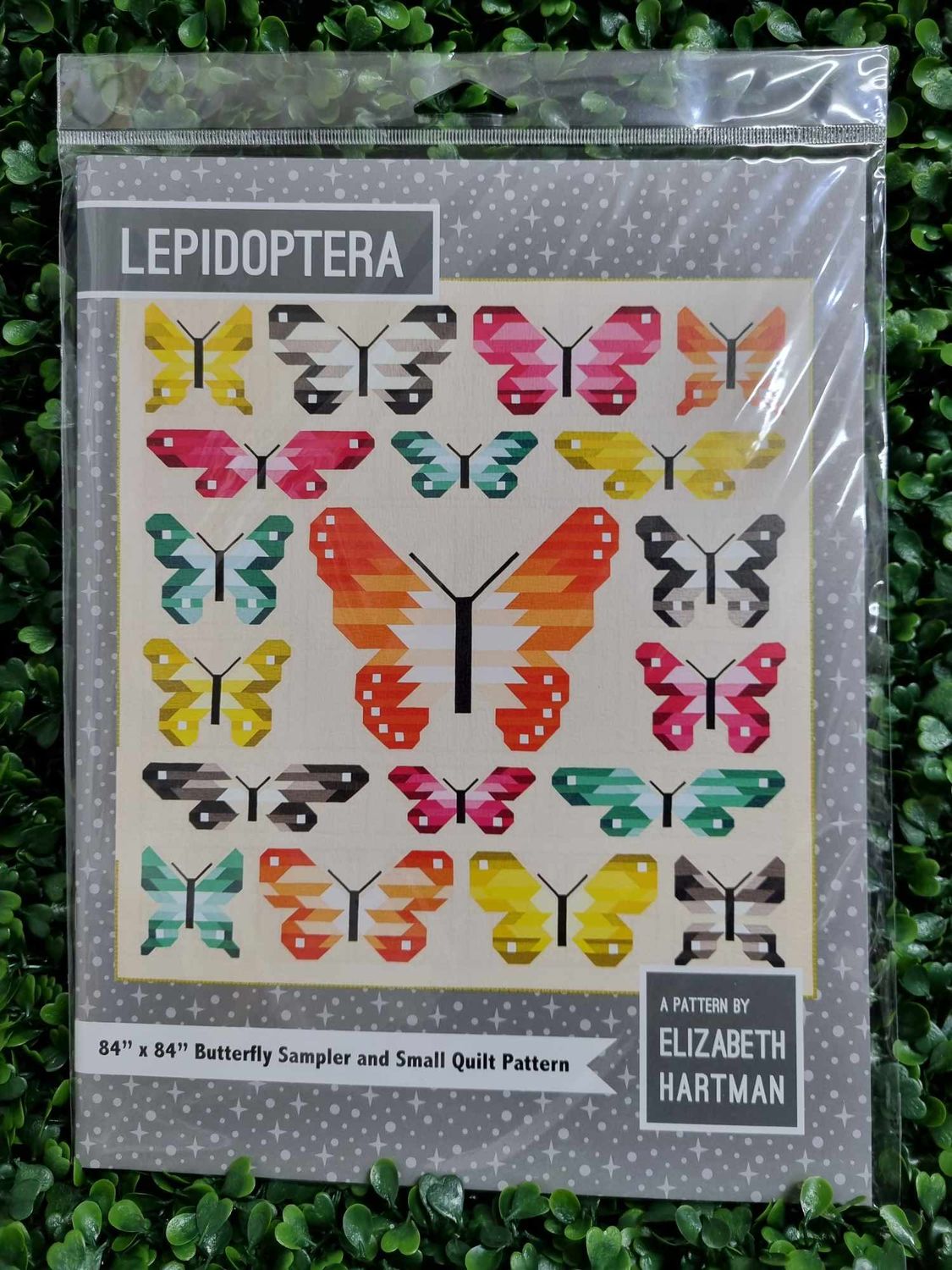 Lepidoptera