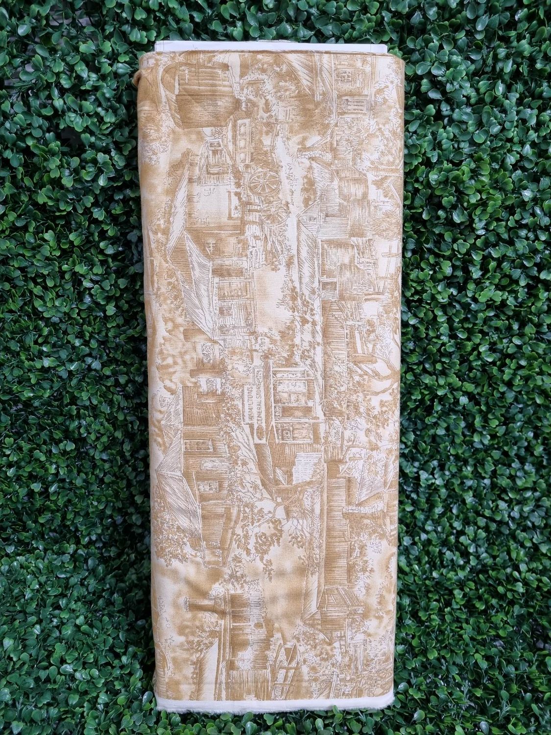 Burrangong Creek Colonial Town