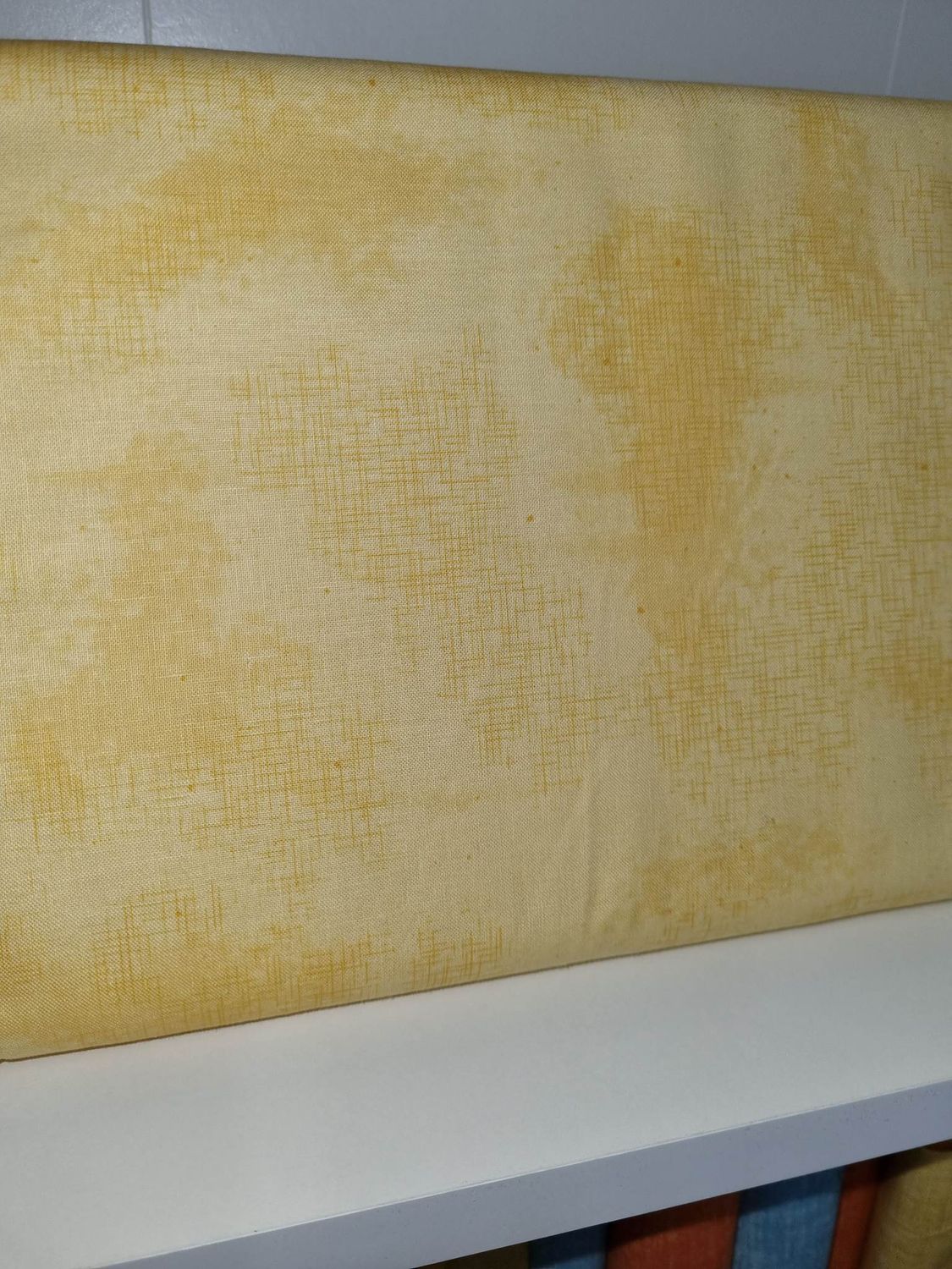 Riley Blake - Shabby - Beehive