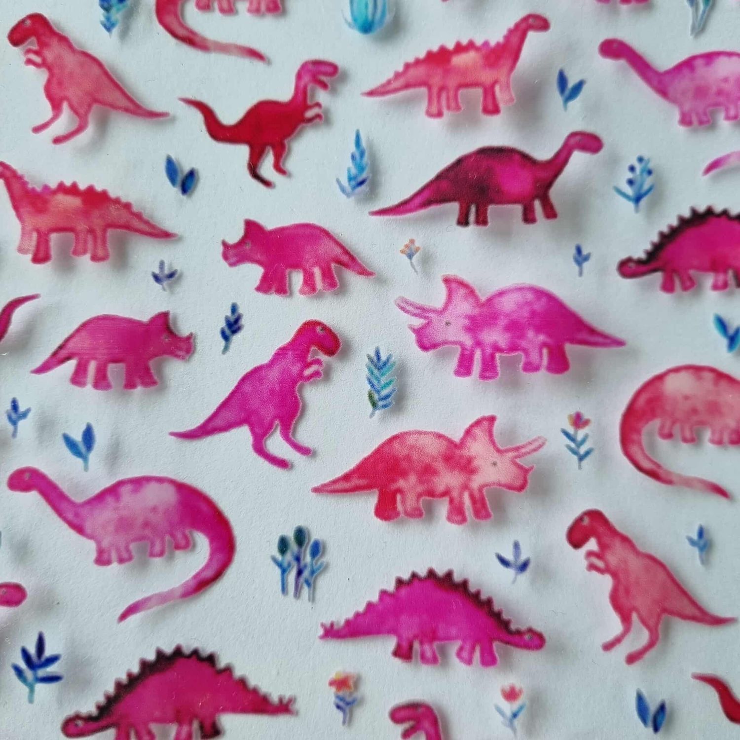 Pink Dinosaurs