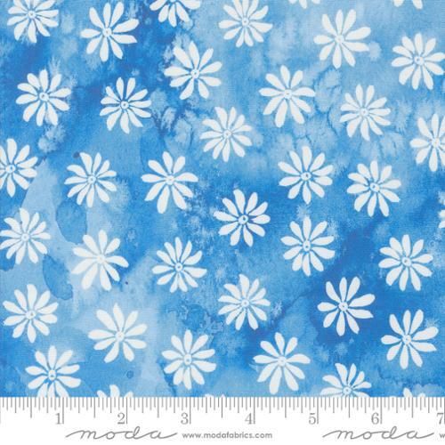 Sunshine and Blue Skies, Sunshine and Blue Skies Collection: Bluebell Daisy 812