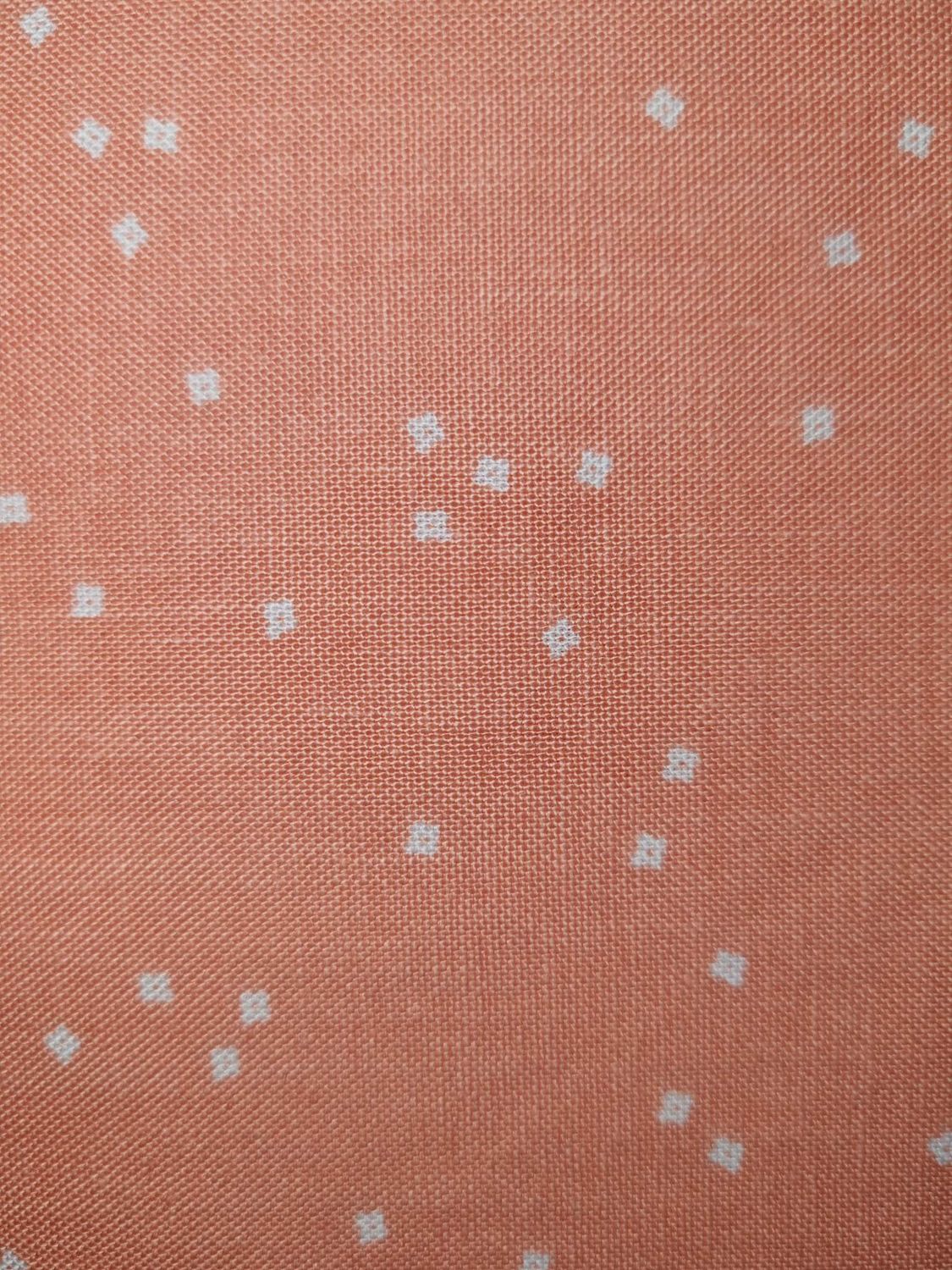 Riley Blake - Blossom - Apricot Blush