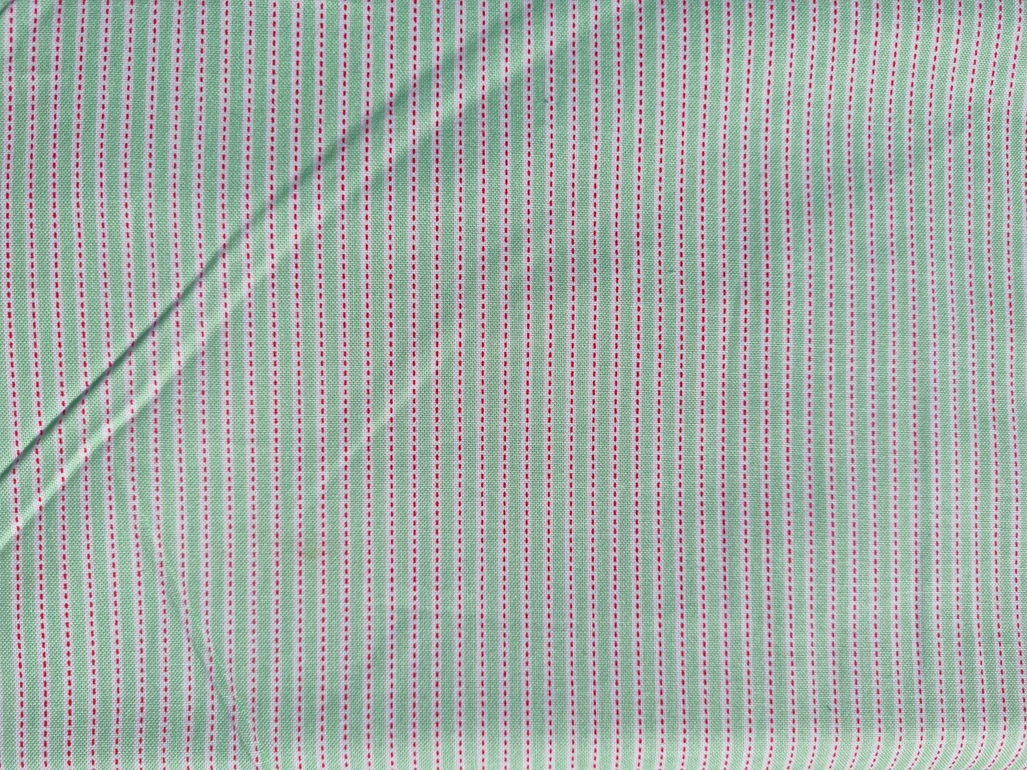 Riley Blake - Backyard Roses -Strip - Mint