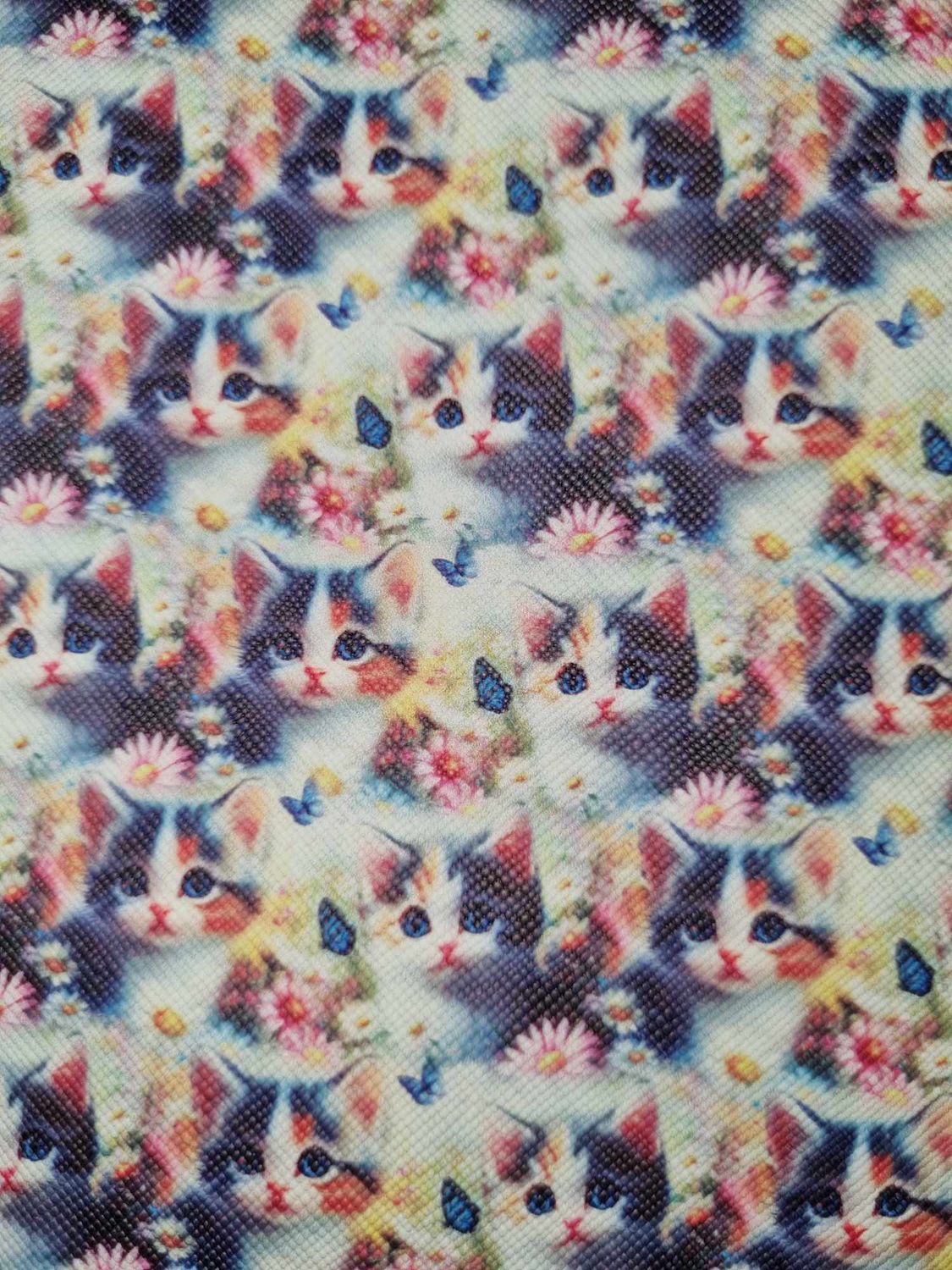 Kittens and Sunshine