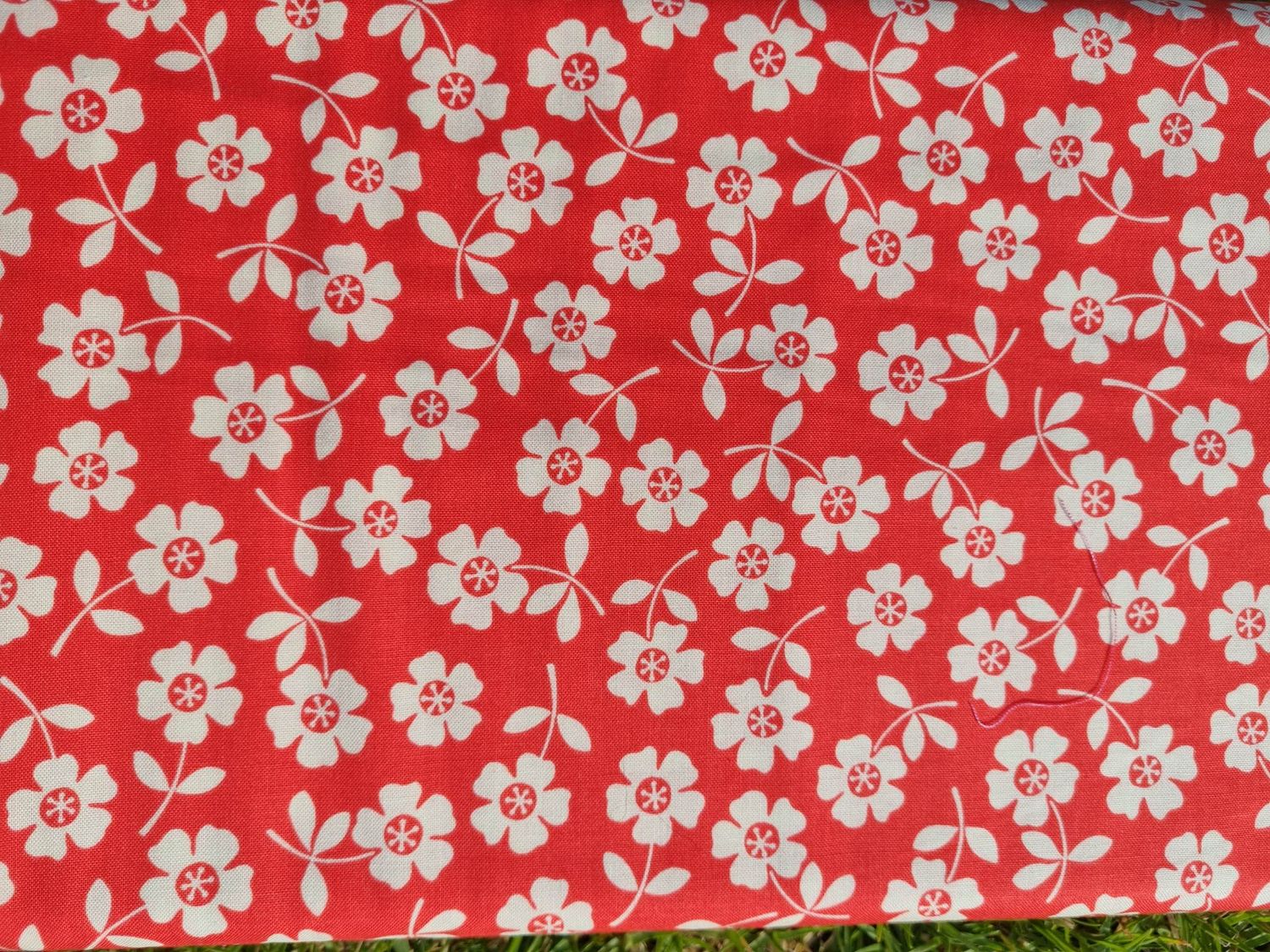 Riley Blake - Seaside - Bikini - Red