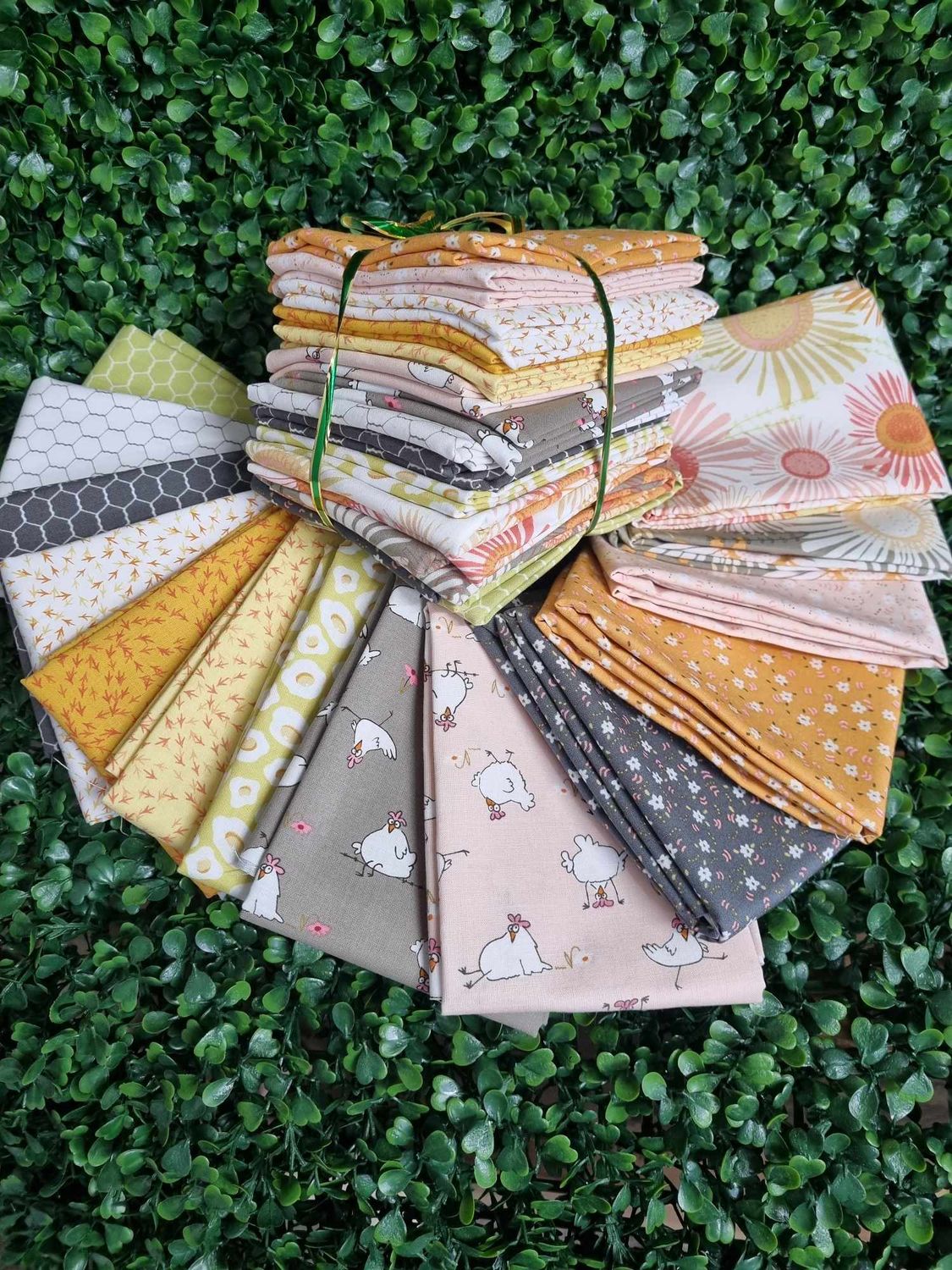 Cluck Cluck Bloom FAT14P