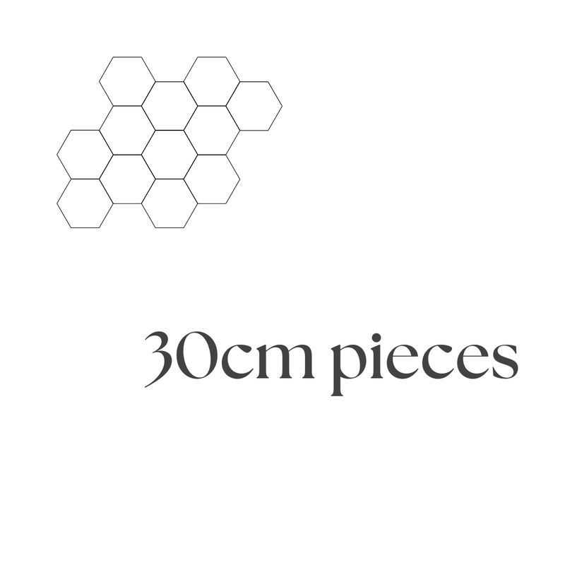 30CM Pieces