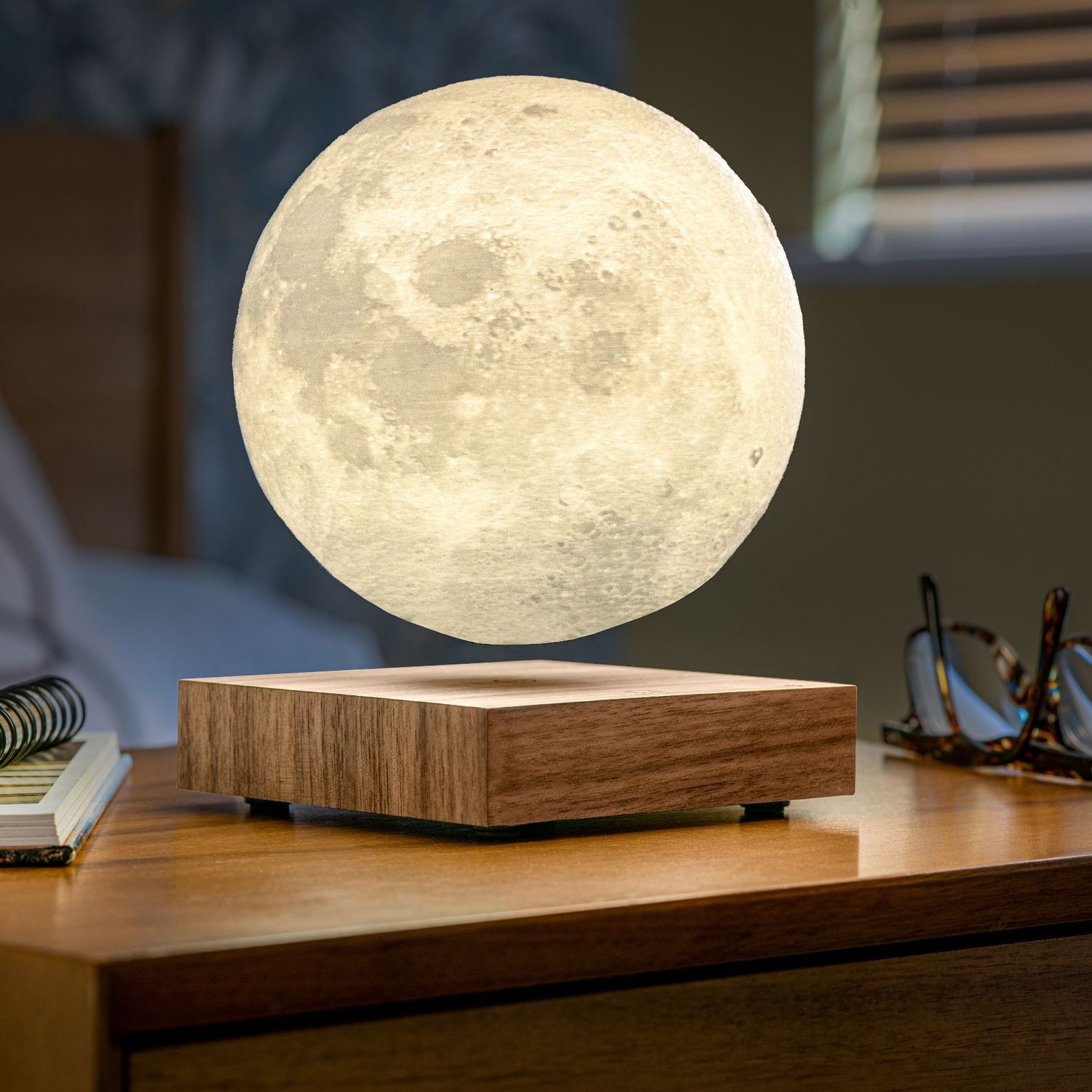 Gingko - Moon Lamp - Walnut