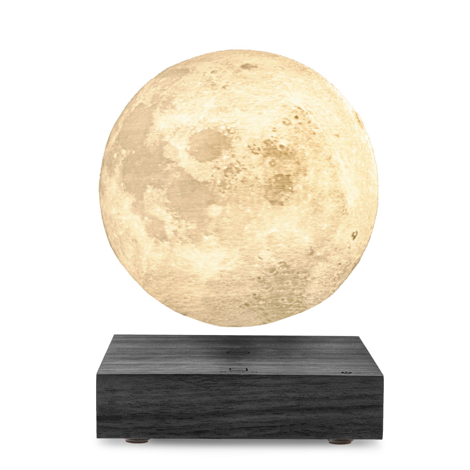 Gingko - Moon Lamp - Black