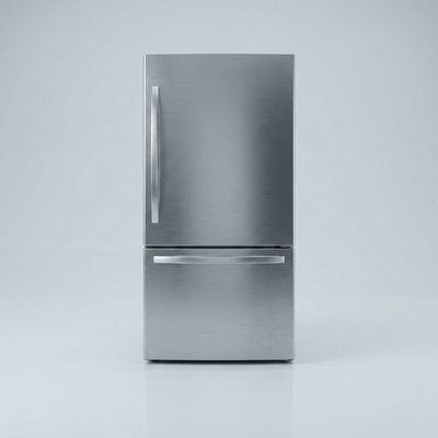 Bottom Freezer Fridge