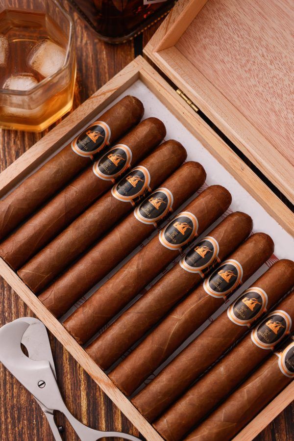 Cigar Ambassador Luz de Masalla Toro 20