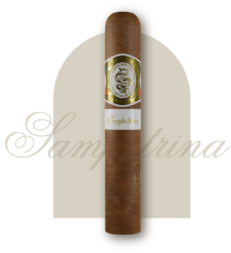 CASA 1910:Casa 1910 Soldadera Sampetrina Robusto Box