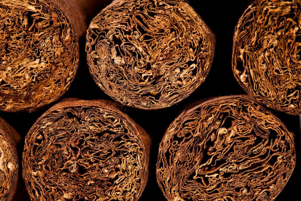 Caballeros Cigars:Caballeros Habano Robusto Box