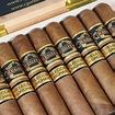 EXCLUSIVO USA:Regius Orchant St. James Wide Churchill Box