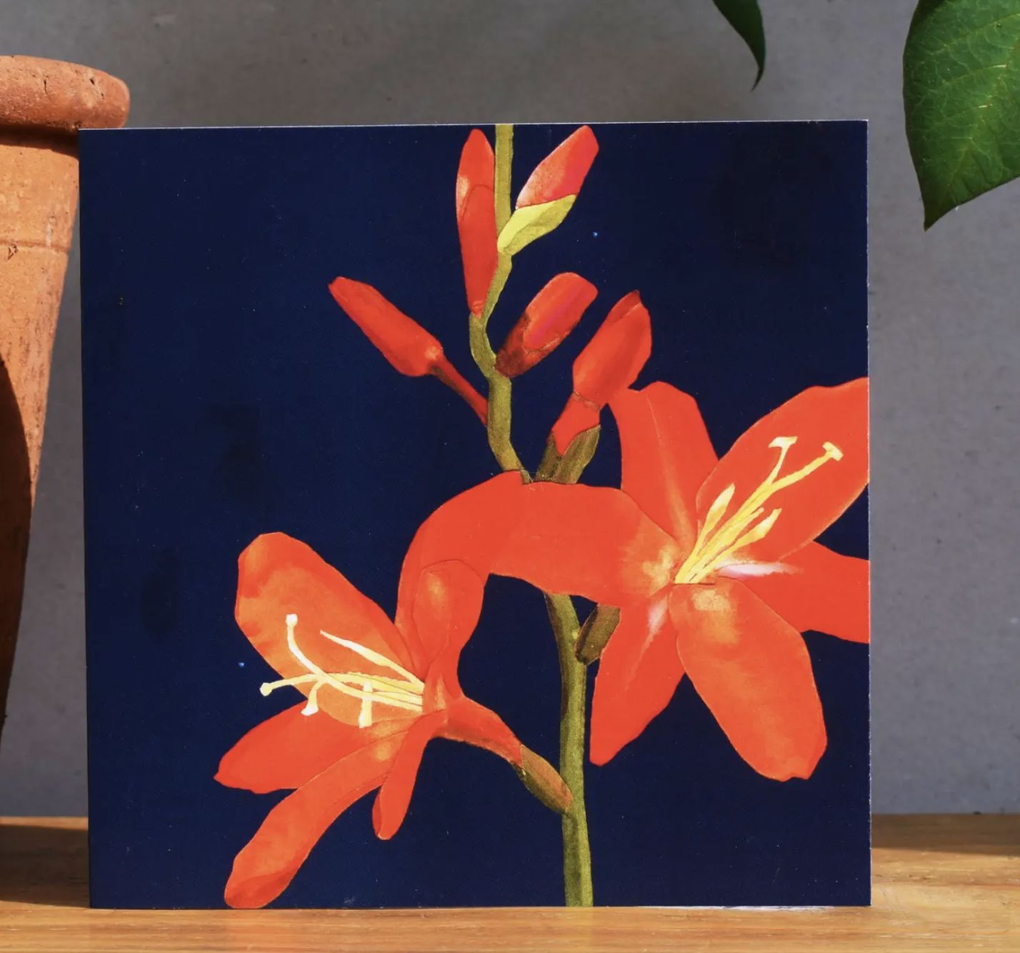 Botanical Collection Greeting Card Botanical Collection Greeting Card, Design & Pattern: Crocosmia