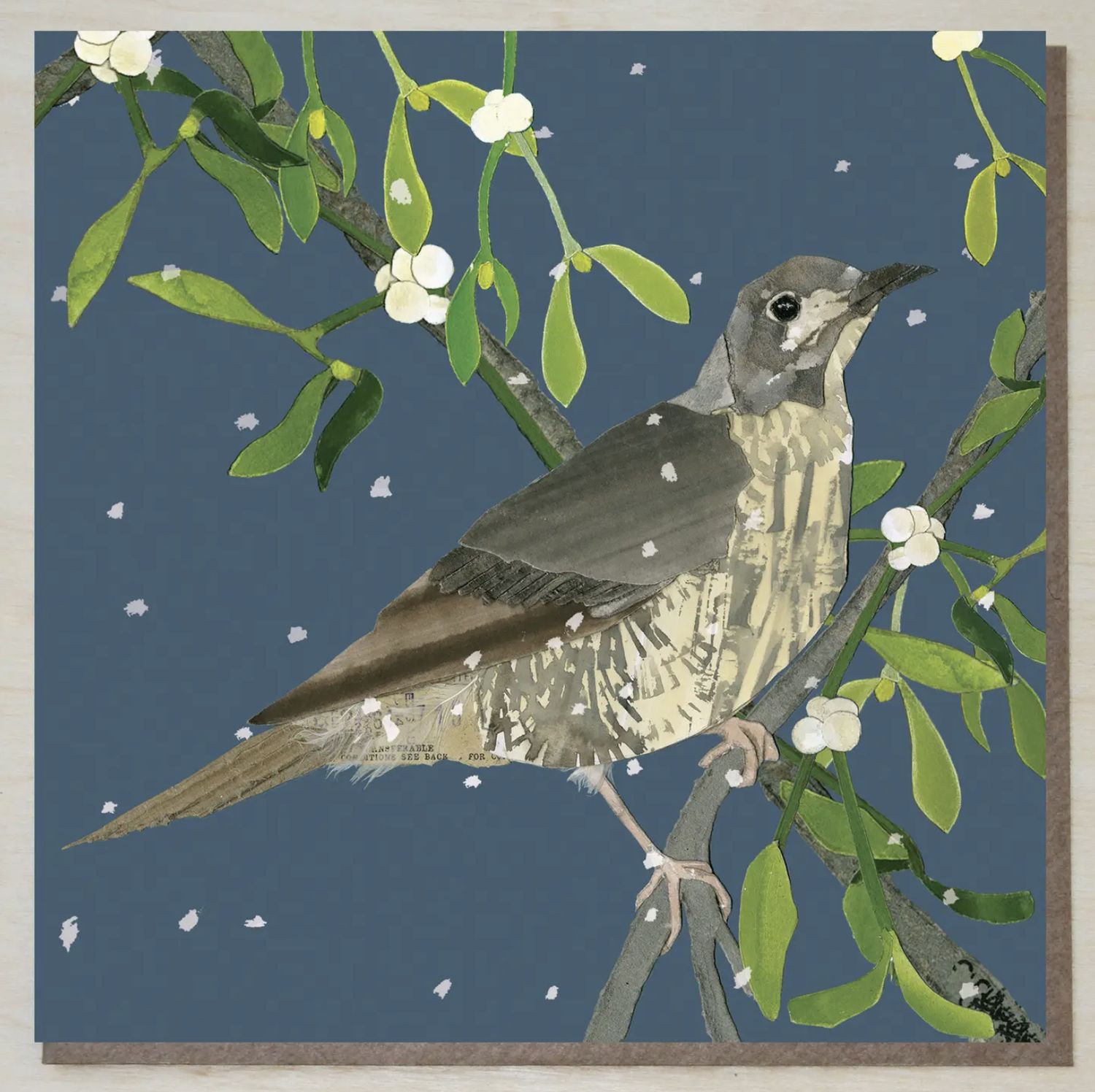 Mistle Thrush Christmas & Winter Card Mistle Thrush Christmas & Winter Card