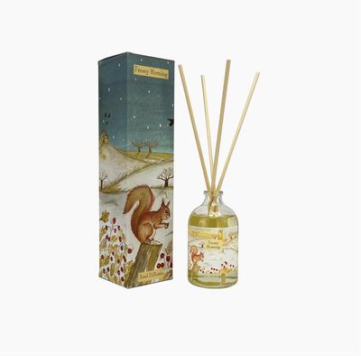 Illustrated 100ml Reed Diffusers - Frosty Morning - Amber & Tonka Bean