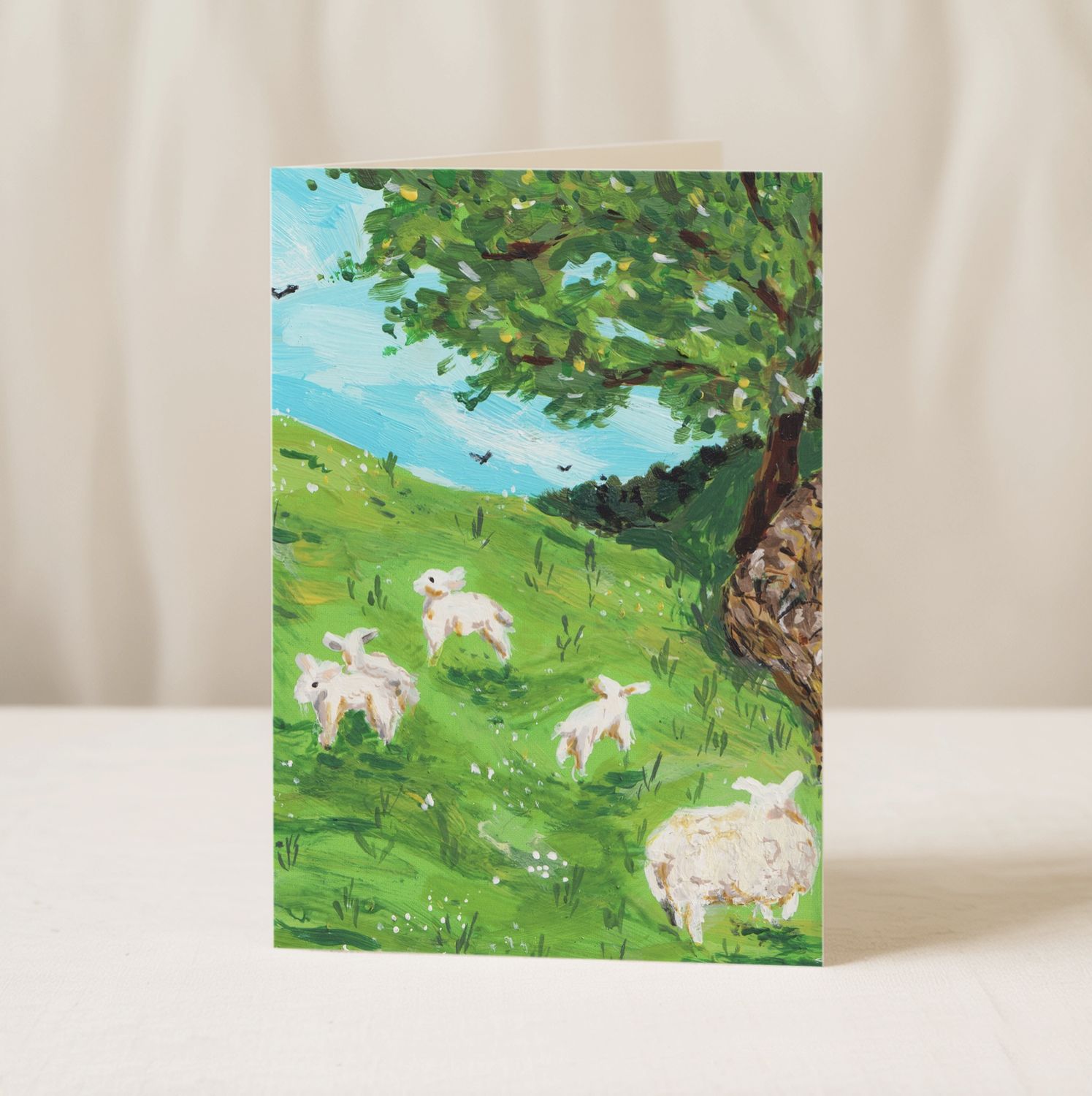 Spring Lambs Blank Greetings Card