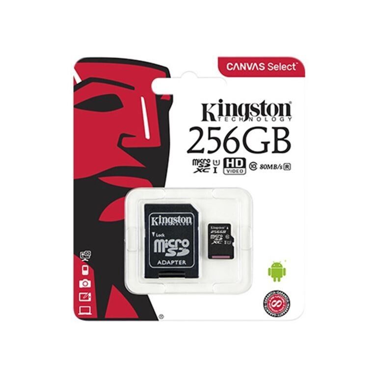 KINGSTON 256GB SD CARD