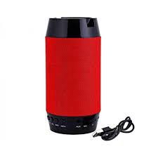PORTABLE BLUETOOTH SPEAKER Q300