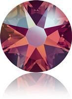 20ss LT SIAM SHIMMER - GROSS