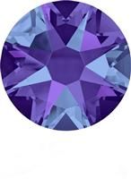 30ss HELIOTROPE - GROSS