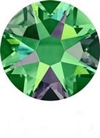 20ss VITRAIL MEDIUM - 1 DZ