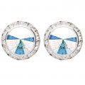 EARRINGS - MEDIUM #2710