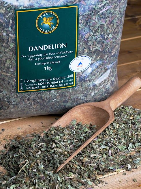 Equus Dandelion leaf