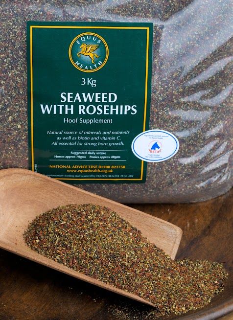 Equus Seaweed/Rosehips